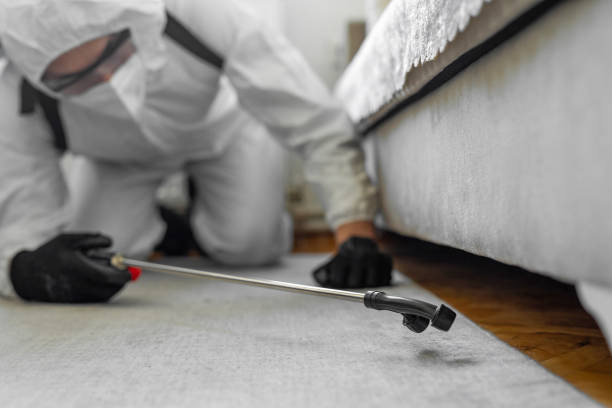 Professional Cockroach Control technician working in Greilickville, MI