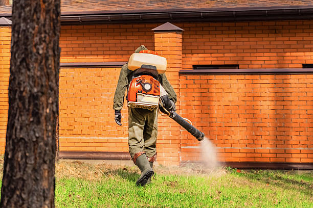 Top rated local Cockroach Control specialists in Greilickville, MI